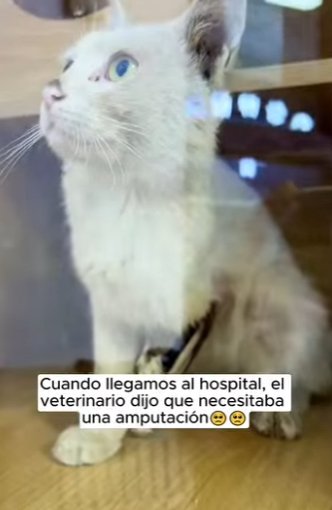 R2901003 Donde habia miedo ahora hay calma (Parte 2)