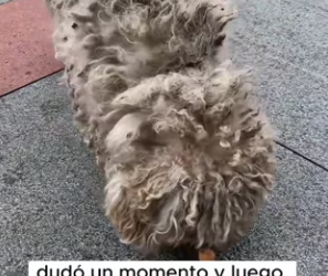 R2901013 La ayuda transformo el final (Parte 2)