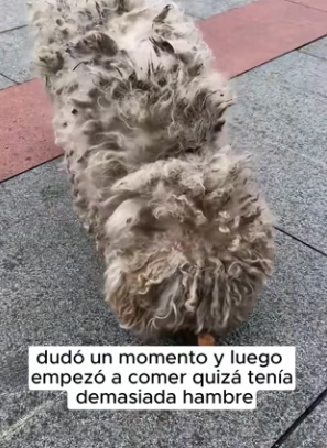 R2901013 La ayuda transformo el final (Parte 2)