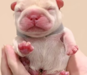 R2901010 Una vida mas bajo proteccion (Part 2)