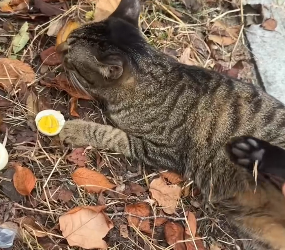 R2901008 El rescate devolvio la esperanza (Parte 2)