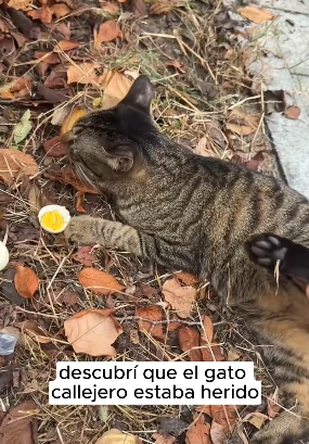 R2901008 El rescate devolvio la esperanza (Parte 2)