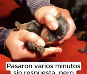 R2901006 De la angustia al cuidado (Parte 2)