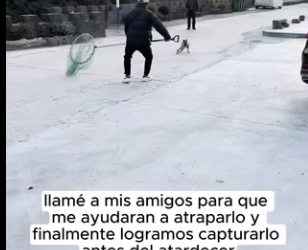 R2901007 Hoy alguien volvio a sentirse seguro (Parte 2)