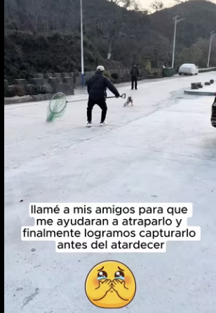 R2901007 Hoy alguien volvio a sentirse seguro (Parte 2)