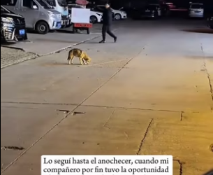 R3101014 Un corazon mas fuera de peligro (Parte 2)