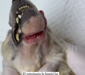 R3101013 La ayuda transformo el final (Parte 2)