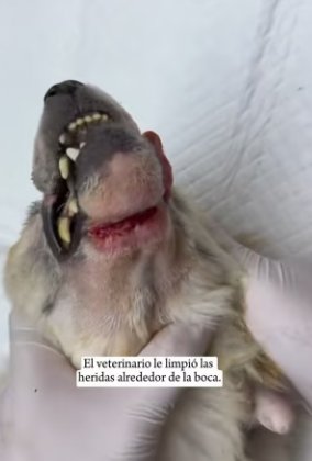 R3101013 La ayuda transformo el final (Parte 2)