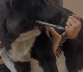 R3101011 El amor aparecio cuando mas se necesitaba (Parte 2)