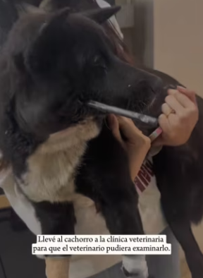 R3101011 El amor aparecio cuando mas se necesitaba (Parte 2)