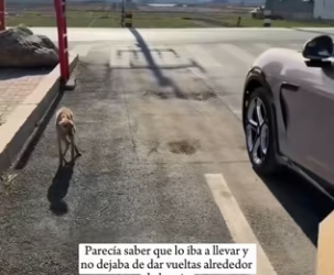 R3101009 Manos valientes cambiaron su destino (Parte 2)