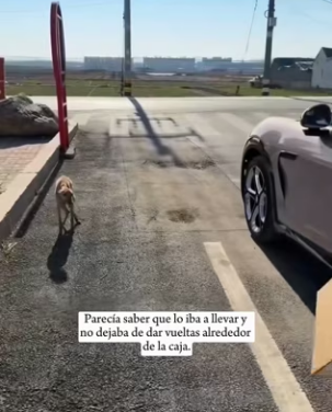 R3101009 Manos valientes cambiaron su destino (Parte 2)