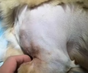 R3101008 El rescate devolvio la esperanza (Parte 2)