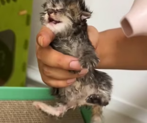 R3101007 Hoy alguien volvio a sentirse seguro (Parte 2)