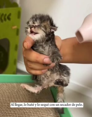 R3101007 Hoy alguien volvio a sentirse seguro (Parte 2)