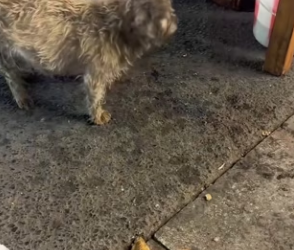 R3101006 De la angustia al cuidado (Parte 2)