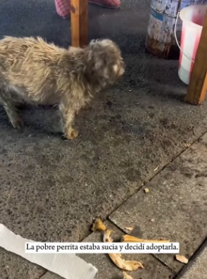 R3101006 De la angustia al cuidado (Parte 2)