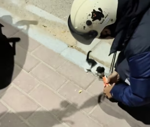 R3101003 Donde habia miedo ahora hay calma (Parte 2)