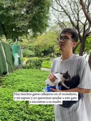 R3101002 La ayuda llego en el momento justo (Parte 2)