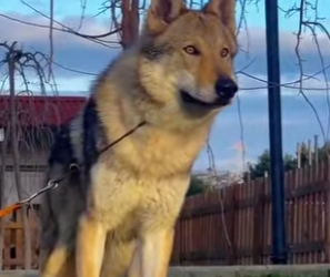 A2901003 De la lucha al descanso (Parte 2)