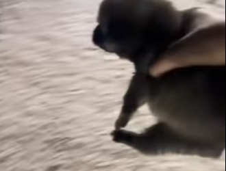 A2901002 La bondad llego sin avisar (Parte 2)