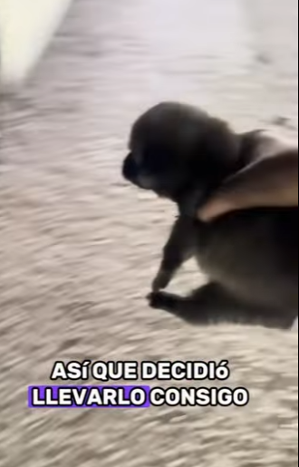 A2901002 La bondad llego sin avisar (Parte 2)