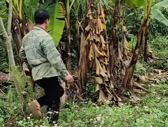 C2801004 From chaos to calm (Part 2)