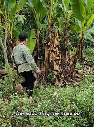 C2801004 From chaos to calm (Part 2)