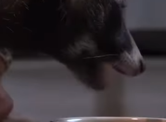 C2601012 Care can change destinies (Part 2)