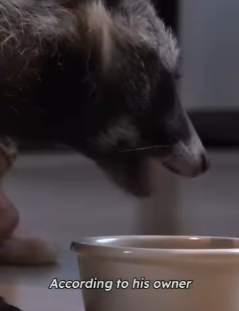 C2601012 Care can change destinies (Part 2)