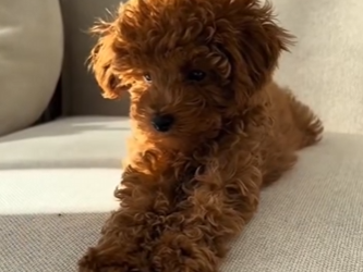 M2901013 Donde hubo riesgo ahora hay paz (Parte 2)