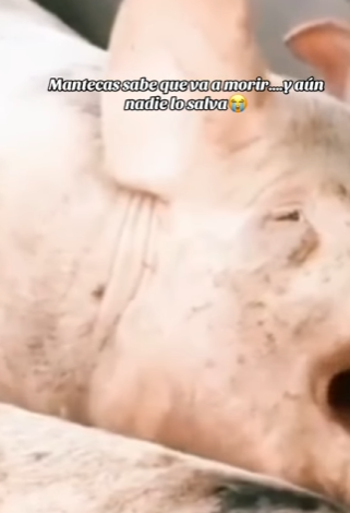 M2901007 Un destino mejor comenzo hoy (Parte 2)