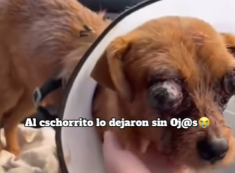 M2901010 El cuidado cambio la historia (Parte 2)