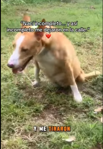 M2901004 De la fragilidad a la protección (Parte 2)