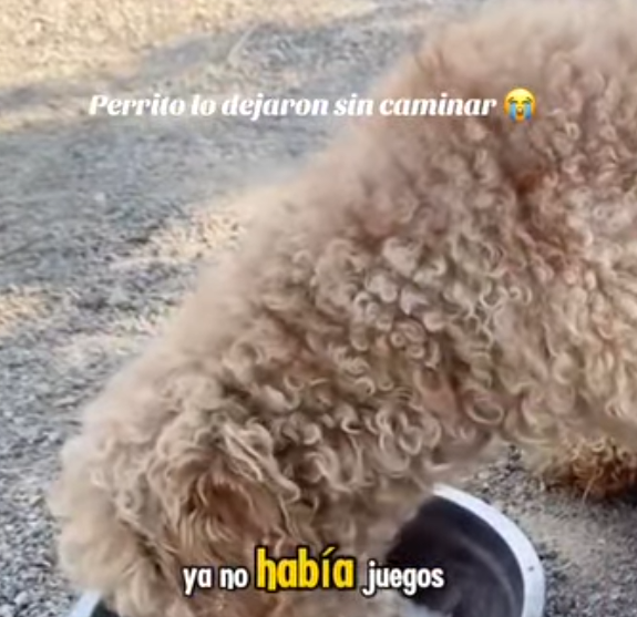 M2901009 Del peligro al abrazo seguro (Parte 2)