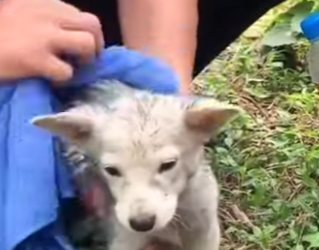 M2901014 La bondad encontró su camino. (Parte 2)