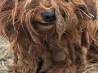 M2901001 Manos buenas escribieron este final (Parte 2)