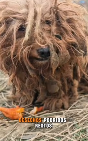 M2901001 Manos buenas escribieron este final (Parte 2)