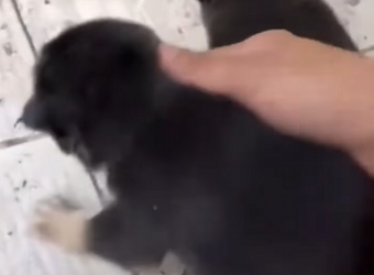 M2901003 El amor construye un nuevo inicio. (Parte 2)