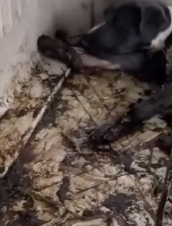 M2901006 Una vida mas a salva (Parte 2)