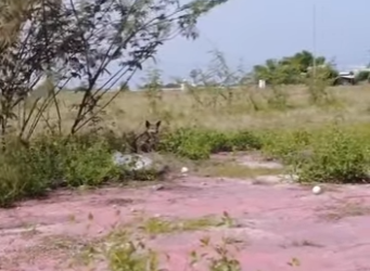 M2901002 La compasion marco la diferencia (Parte 2)