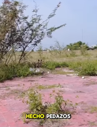 M2901002 La compasion marco la diferencia (Parte 2)