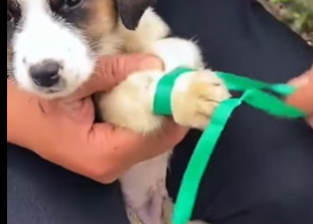 M2901005 Hoy se gano una nueva oportunidad (Parte 2)