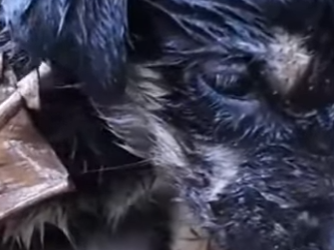 M2901008 La ayuda salva este momento (Parte 2)