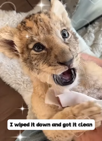 Z2801001 From hurt to healing hands (Part 2)