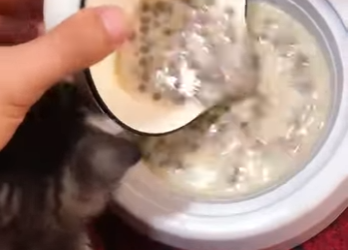 Z2801002 Another soul finds peace (Part 2)