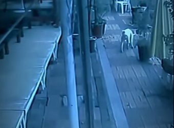 V2930006 La bondad encontró su camino. (Parte 2)