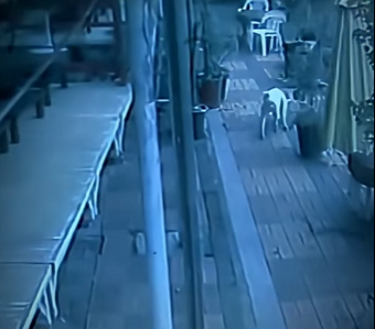 V2930006 La bondad encontró su camino. (Parte 2)