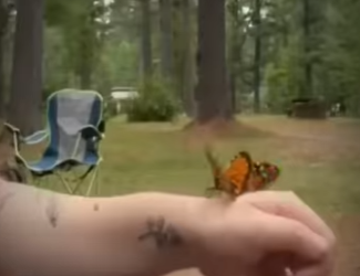 V2930012 Manos buenas escribieron este final (Parte 2)