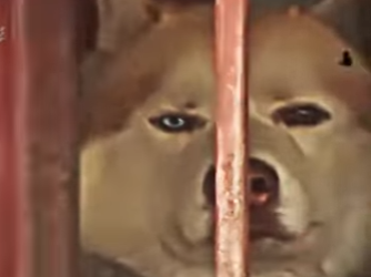 V2930005 De la fragilidad a la protección (Parte 2)